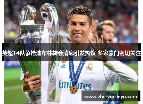 英超14队争抢迪布林转会消息引发热议 多家豪门密切关注 英超14队争抢迪布林转会消息引发热议 多家豪门密切关注