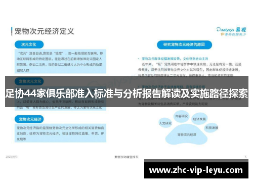足协44家俱乐部准入标准与分析报告解读及实施路径探索 足协44家俱乐部准入标准与分析报告解读及实施路径探索