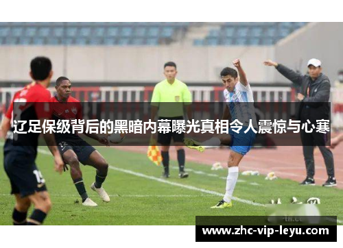 辽足保级背后的黑暗内幕曝光真相令人震惊与心寒 辽足保级背后的黑暗内幕曝光真相令人震惊与心寒