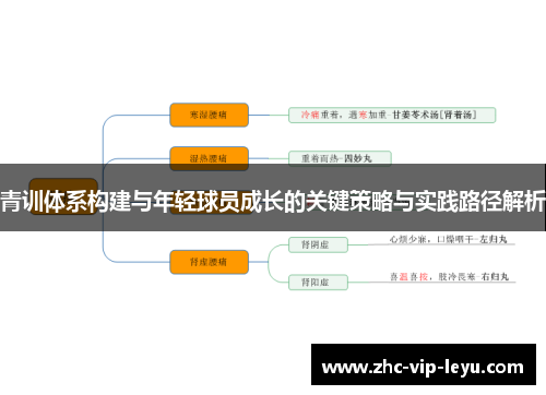 青训体系构建与年轻球员成长的关键策略与实践路径解析