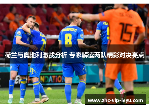 荷兰与奥地利激战分析 专家解读两队精彩对决亮点