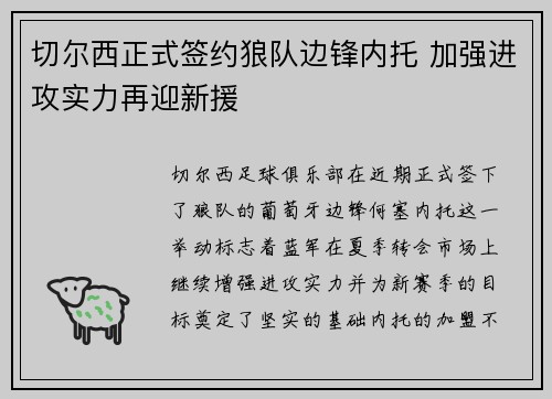 切尔西正式签约狼队边锋内托 加强进攻实力再迎新援 切尔西正式签约狼队边锋内托 加强进攻实力再迎新援